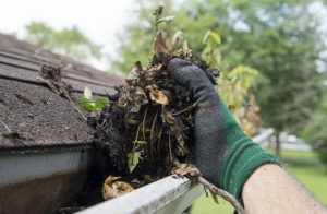 clean-gutters