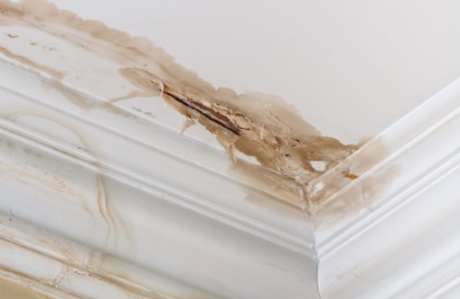 signs of water damage