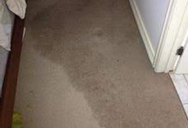 wet carpet
